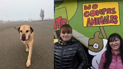 Cabezón, el perro del corralón, fue adoptado tras tres años de espera