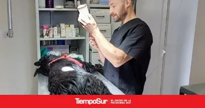 Chaltén: vecinos deberán pagar el 50% del costo de castraciones para mascotas