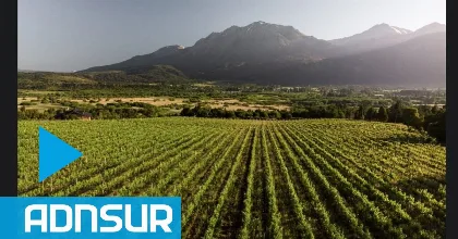 Chubut se prepara para Tierra, Mar y Vinos con su primer viñedo