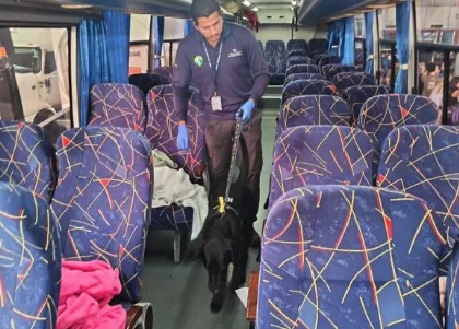 Clave el apoyo canino en decomisos de productos sin certificación en frontera Panamá-Costa Rica