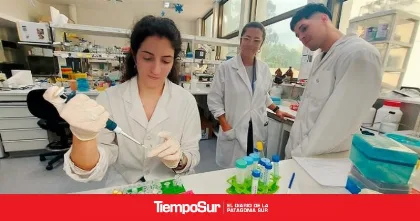 Desarrollan en Argentina un test rápido y económico para detectar dengue