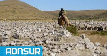 El campo de Chubut exige soluciones urgentes tras 20 reuniones sin avances
