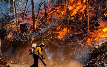 Guatemala y México acuerdan cooperación para enfrentar incendios forestales extremos