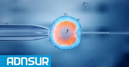 La Justicia ordenó a Ipross trasladar embriones criopreservados de Bahía Blanca a Neuquén