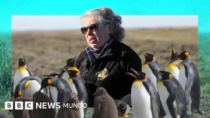Maestra chilena protege colonia única de 200 pingüinos rey en el sur