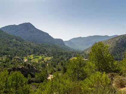 Mallorca debate entre plantar un millón de árboles o ampliar su planta desalinizadora
