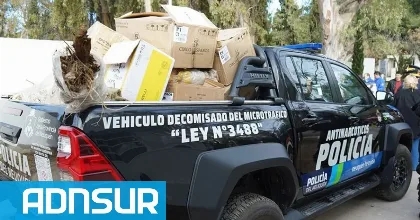 Neuquén incineró más de 115 kilos de droga y destruyó 800 armas