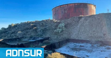 Nico, el perro empetrolado: acciones legales contra la operadora