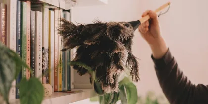 Por qué algunas superficies del hogar acumulan polvo más rápido, según la ciencia