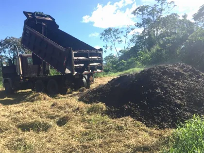 Recuperación ambiental: páramo en Costa Rica renace tras cubrirlo con pulpa de café