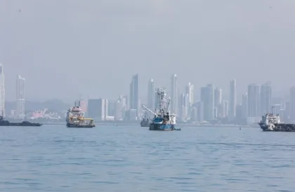 Ruido de embarcaciones afecta la comunicación de ballenas en el Pacífico panameño