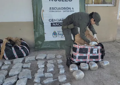 Secuestran más de 212 kilos de marihuana con destino a localidades de Santa Cruz