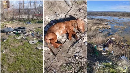 Vecino denuncia minibasurales en Río Gallegos