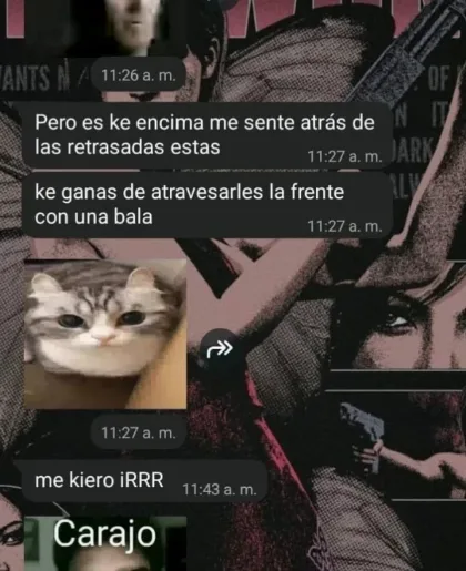 Alerta en Río Gallegos por plan de tiroteo escolar de una alumna de 13 años