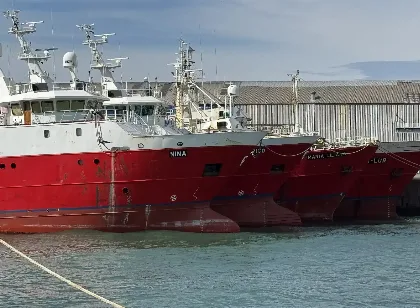 Chubut lidera en desembarques pesqueros superando a Buenos Aires