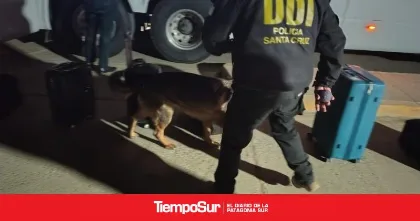 Cinco detenidos en Puerto San Julián por pedidos de captura