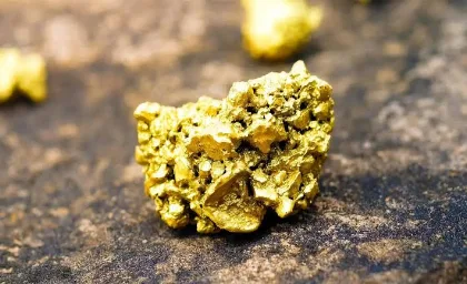 Descubren oro visible en Santa Cruz y se preparan para perforar