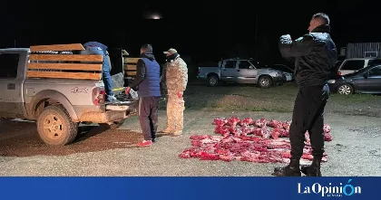 Detienen a dos hombres con carne de guanaco en Caleta Olivia