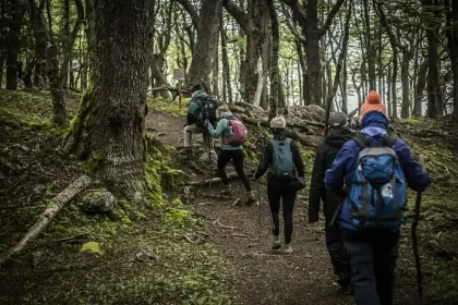 Habilitaciones para guías en el Parque Nacional Los Glaciares