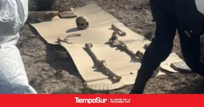 Hallan 125 piezas óseas en Puerto Madryn