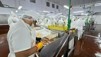 Puerto Deseado: Pespasa procesará 6.500 toneladas de residuos pesqueros