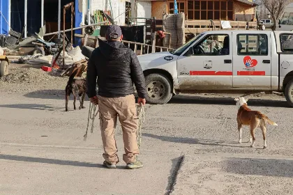 Río Gallegos: más de 100 notificaciones en operativos municipales