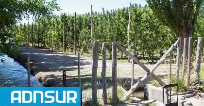 Río Negro y Neuquén buscan proteger tierras agrícolas