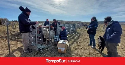 Trelew será sede de Jornadas sobre Extensión Rural del MERCOSUR