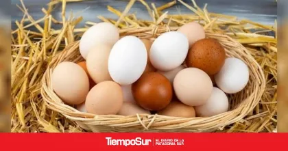 Argentina, líder mundial en consumo de huevo