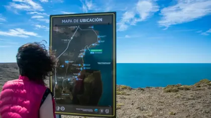 Bahía San Julián, nuevo sitio de importancia para aves playeras