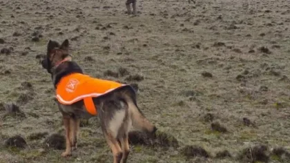 Búsqueda binacional de un chileno desaparecido en Monte Aymond