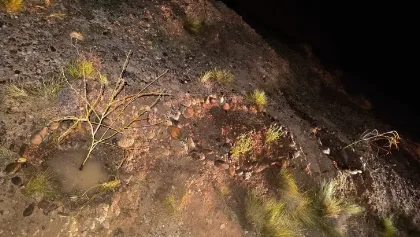 Despidieron a mascotas que murieron en incendio en Las Heras
