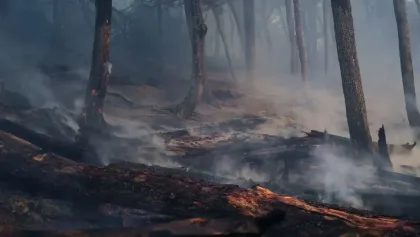 Documental sobre incendios en la Comarca Andina se presenta en Santa Cruz