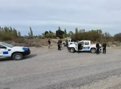 Incautan 500 kilos de guanaco en Chubut