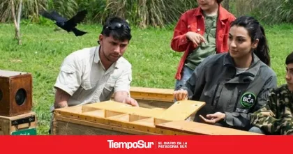 Liberan casi un centenar de aves rescatadas del tráfico ilegal