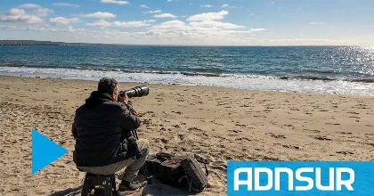 Maxi Jonas: el fotógrafo de ballenas de Chubut