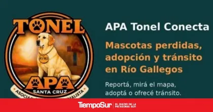 Nueva app para facilitar adopción de mascotas en Río Gallegos