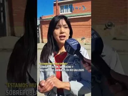 Preocupación por maltrato y abandono de animales en Río Gallegos